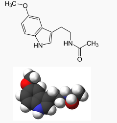 structure mélatonine