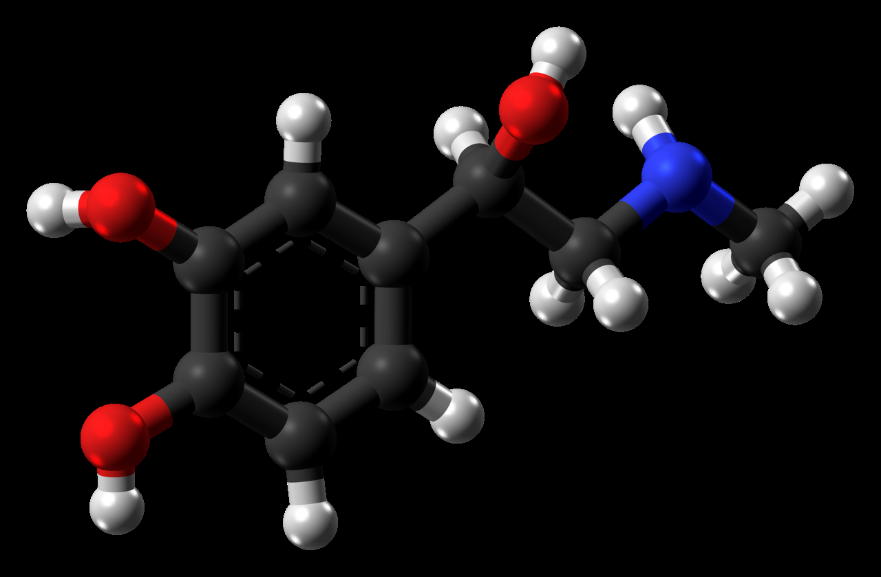 structure adrénaline